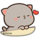 OPIOJA
3
