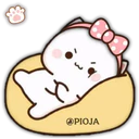 MOCHIS CAT   ELLA 14