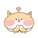 Peach Shiba Inu   (Mov) 14