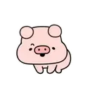 pig 2   MOV 16