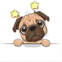 animales cute 14