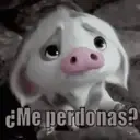 》MIRADITAS《 12