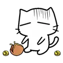 ️White cat Mov 10