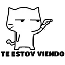 ️White cat Mov 28
