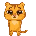 Grumpy Tiger 14