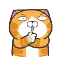 LALA CAT MOV. 19