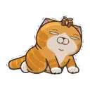 LALA CAT MOV. 15