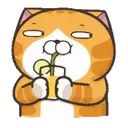 LALA CAT MOV. 21