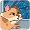 MEMES CATS.MOV 7