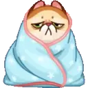 MEMES CATS.MOV 12