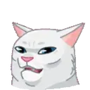 MEMES CATS.MOV 18
