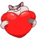 MEMES CATS.MOV 22