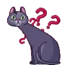 MEMES CATS.MOV 17