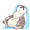MEMES CATS.MOV 11