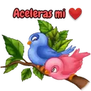 Para tí con amor 15