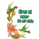 Para tí con amor 4