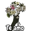 Para tí con amor 28