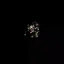 Happy New Year 2 7