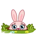 Mia Bunny 8