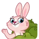 Mia Bunny 10