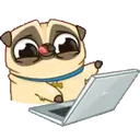 PENNY Pug 11