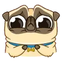 PENNY Pug 19