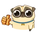 PENNY Pug 15