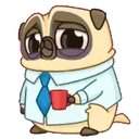 PENNY Pug 12