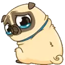 PENNY Pug 8