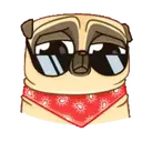 PENNY Pug 5
