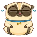 PENNY Pug 9