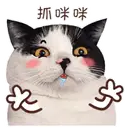 ️FaceCat 18