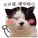 ️FaceCat 21