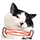 ️FaceCat 13