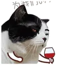 ️FaceCat 20