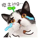 ️FaceCat 14