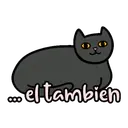Ketnipz frases 15