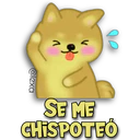 Perro SHIBA INU 2