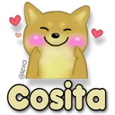 Perro SHIBA INU 21