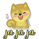 Perro SHIBA INU 1