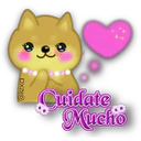 Perro SHIBA INU 12