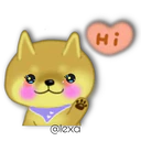 Perro SHIBA INU 6