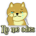 Perro SHIBA INU 18