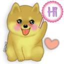 Perro SHIBA INU 5