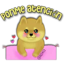 Perro SHIBA INU 27