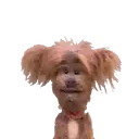 ️Hacker T dog and Dodge MOV 26
