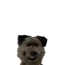 ️Hacker T dog and Dodge MOV 17