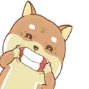 PERRITO CUTE 9