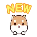 PERRITO CUTE 15