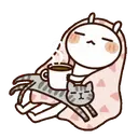 COFFEE 15